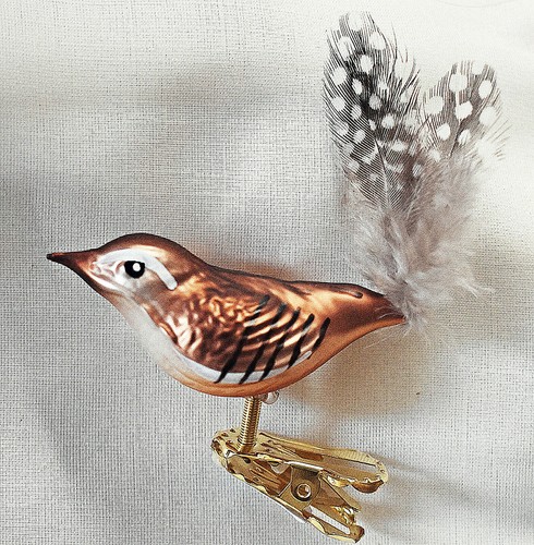 Zaunkönig glasvogel - zaunkönig,