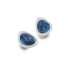 Paua Muschel Ohrstecker
