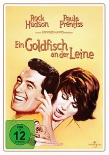 Ein goldfisch der leine - ein,