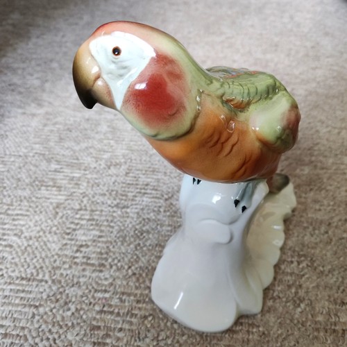 Großer antiker sittich - 🏺,