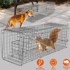 Rattenfalle Mausefalle