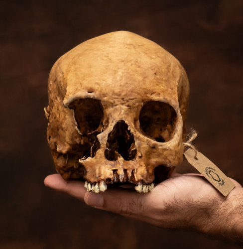 Handbemalter menschlicher