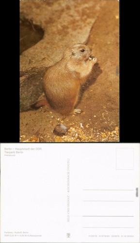 Mitte berlin tierpark - mitte,