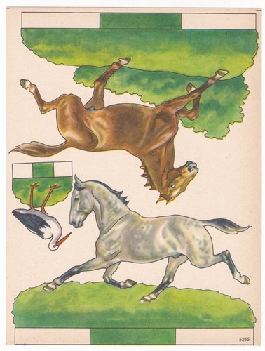 Pferd pferde storch - pferd,
