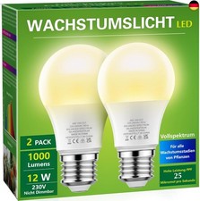 Briignite Die Glühbirne