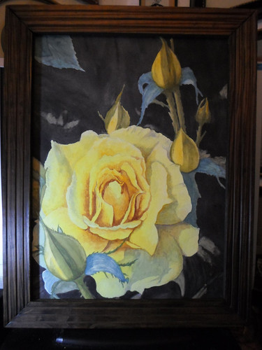 Rosenportrait citrina - ",