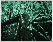 Samt Stretch bi-elastisch für