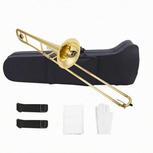 Zugposaune goldlackiert - zugposaune,