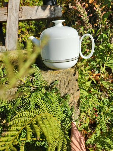 Rosenthal wan studio - rosenthal,