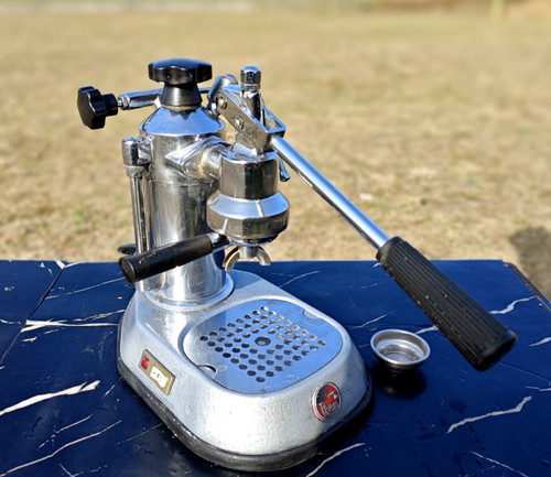 Pavoni europiccola - la,