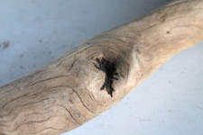 Schwemmholz Treibholz Skulptur