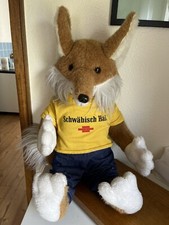 Schwäbisch Hall Fuchs