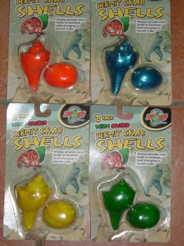 Hermit crab shells - crab,
