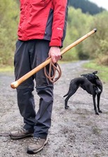 Feine Eibe Shillelagh Gehstock