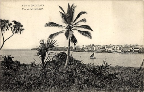 Mombasa kenia palmbaum - kenia,,