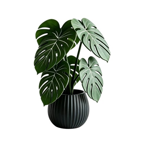 Künstliche monstera tropisch - monstera,