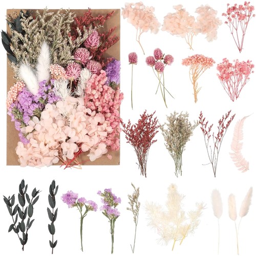 Getrocknete blumen - getrocknete,