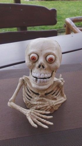 Spardose skelett totenkopf - spardose,