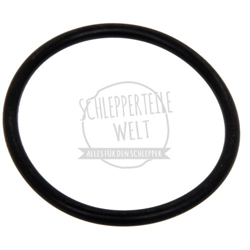 Dichtung thermostatgehäuse - dichtung,