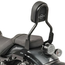 Sissy Bar CL3 für Yamaha XV