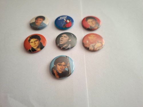 Anstecker shakin stevens - anstecker,
