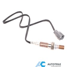 Lambdasonde nach Kat