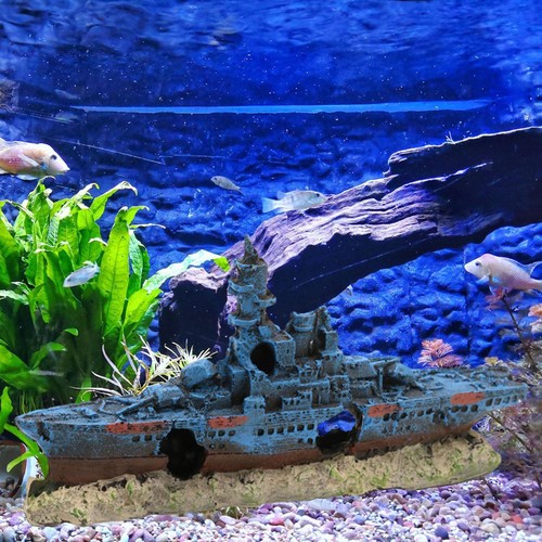 Aquarium schiffswrack - aquarium,