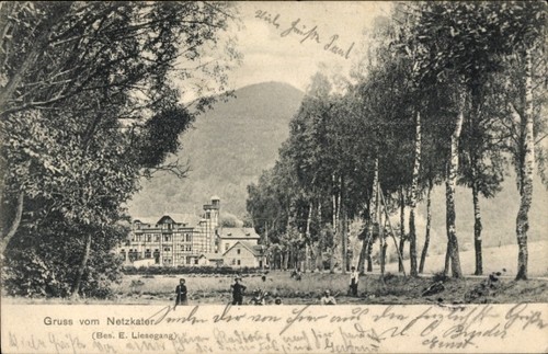 Netzkater ilfeld harz - ilfeld,