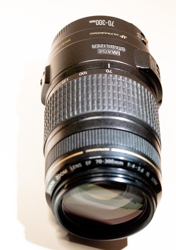 Canon 300 0 5 6 - ef, is
