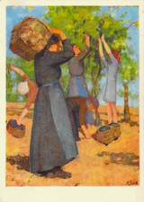 Künstler AK Regina Conti "Die Weinlese" Frauen Mädchen