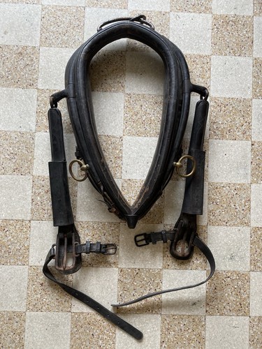 Altes pferdekupplung halsband - altes,