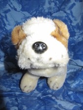 Paws Hund Englische Bulldogge