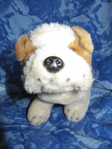 Paws hund englische - paws,