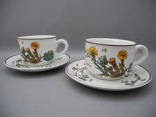 Villeroy & Boch 2 Teetassen