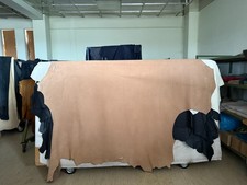 1 Lederhaut, Rindleder