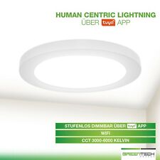 LED Panel Rund Downlight CCT