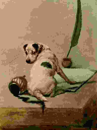 Foto graf maud 1864 - graf, 1943