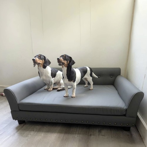 Luxus hundesofa tiersofa - luxus,