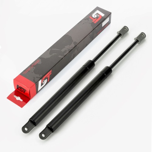 Gasdruckfeder lifter - gasdruckfeder,