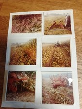 Fotos Schlepper Traktor Mais