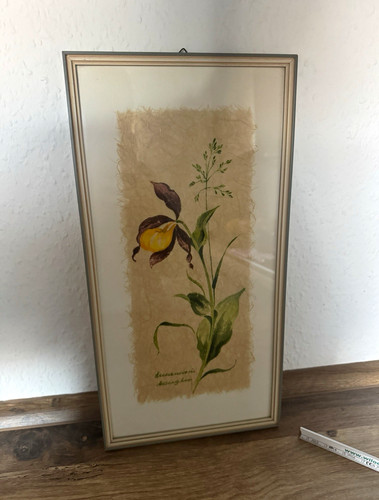 Botanisches aquarell - botanisches,
