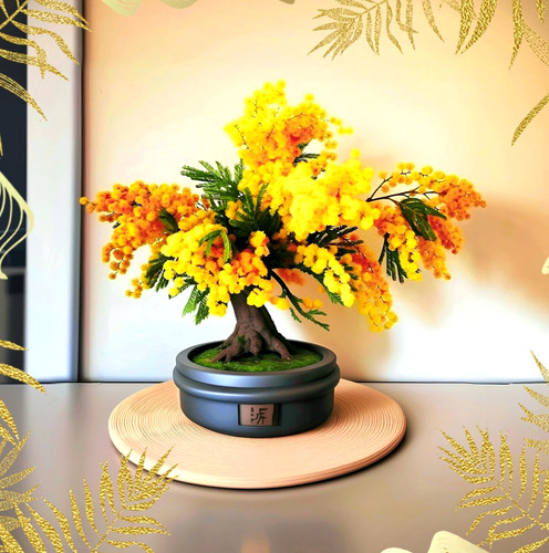Goldmimose bailey akazie - goldmimose, bailey-akazie