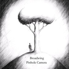 Broadwing pinhole camera - broadwing,