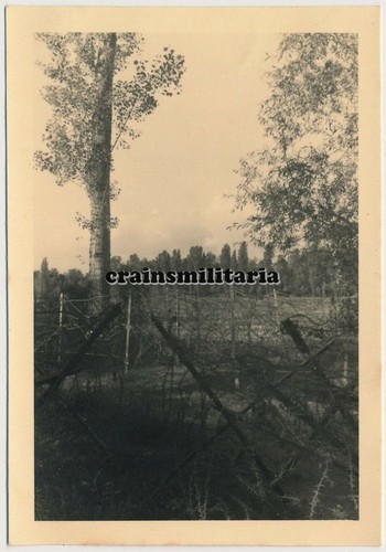 Orig foto stacheldraht - orig.,