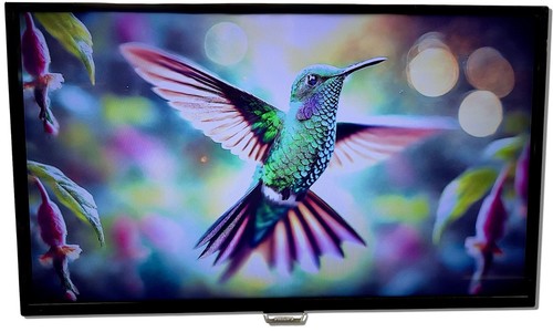 Philips zoll full - (81,3,