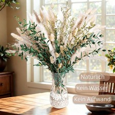 75 Stück Getrocknetes