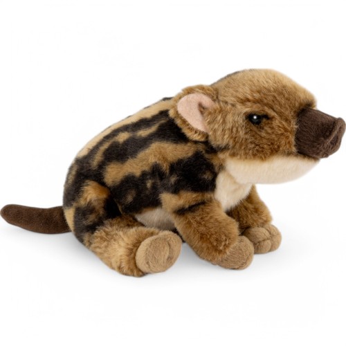 Wildschwein baby frischling - wildschwein, baby,