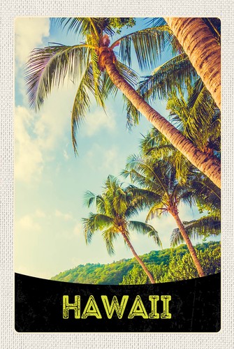 Holzschild 18x12 hawaii insel - 18x12,