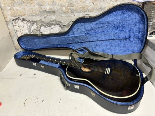 Elektrische akustikgitarre - elektrische,