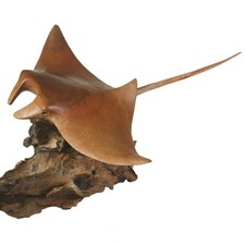 handgeschnitzter Manta aus